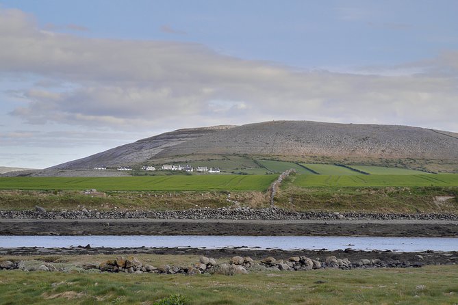 The Burren and Cliffs of Moher Private Tour from Galway - The Cliffs of Moher: allow time to walk