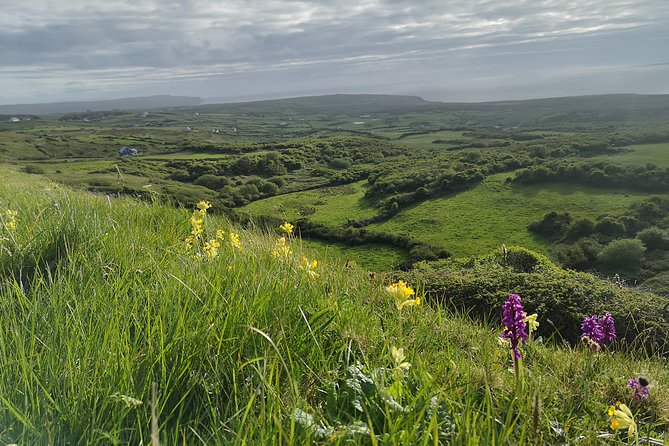 The Burren and Cliffs of Moher Private Tour from Galway - Returning along the Wild Atlantic Way