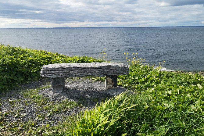 The Burren and Cliffs of Moher Private Tour from Galway - Price, group size, and what you receive