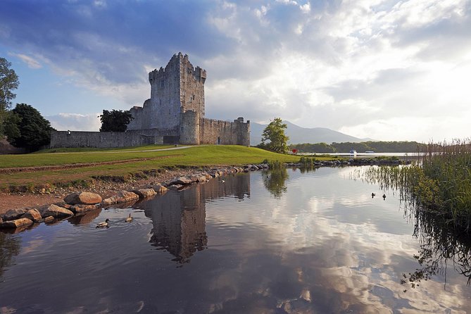 The Classic Ring of Kerry & Skellig Ring Tour - Sheepdogs or Kerry Bog Village at the first stop