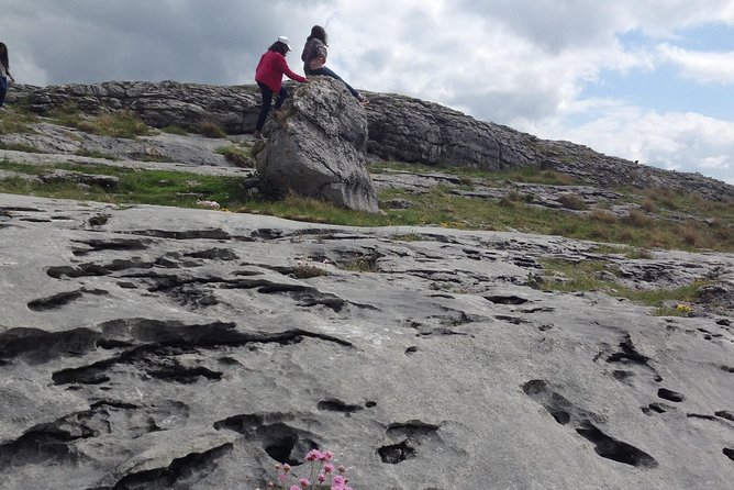 The Cliffs of Moher and Burren National Park Private Tour. - What the $965.76 price really buys