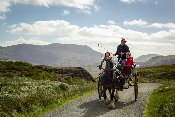 The Gap of Dunloe Adventure Day Tour from Killarney - Crossing the Black Valley by pony trap