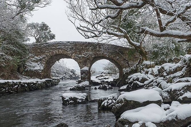 The Gap of Dunloe - Day Trip (One Way Only) - Who should book this one-way route