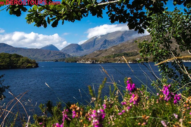 The Gap of Dunloe Full-Day Tour from Killarney - Taking a jaunting cart through the pass