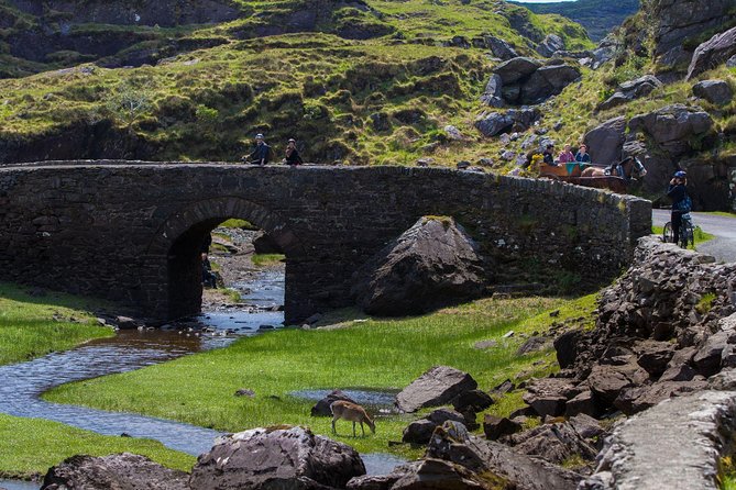 The Gap of Dunloe Full-Day Tour from Killarney - Lord Brandon’s Cottage and the start of the boat ride