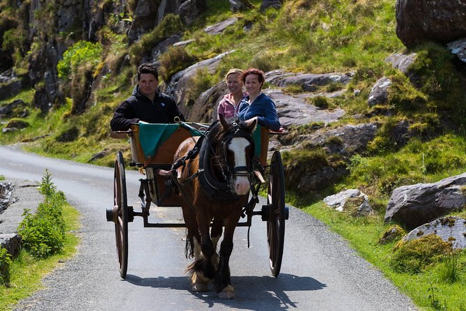 The Gap of Dunloe Full-Day Tour from Killarney - Ross Castle and the return to Killarney