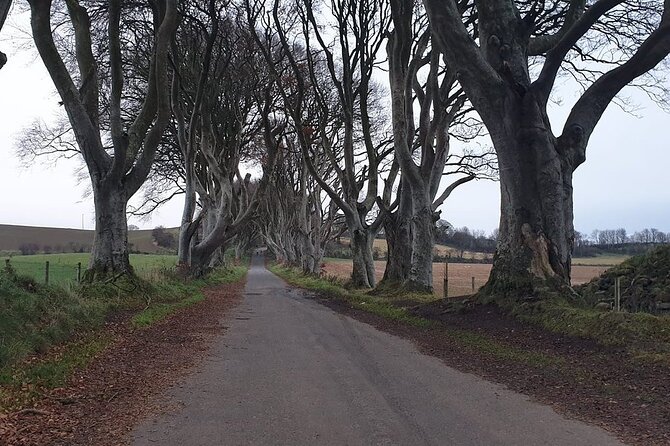 The Giant's Causeway, Dunluce Castel and Belfast - Spanish guide - The 12-hour schedule and meeting point