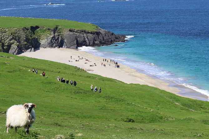 The Great Blasket Island Experience - Premium Tour - Caves, coves, and the Blasket archipelago