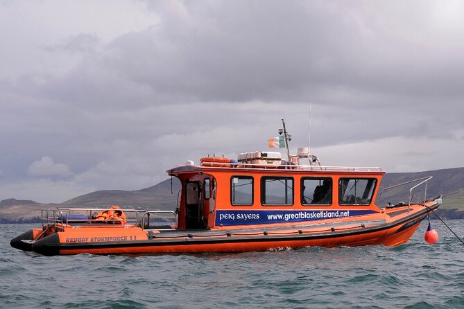 The Great Blasket Island Experience - Premium Tour - Choosing between a short walk and the island loop