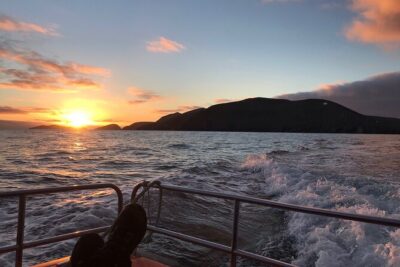 The Great Blasket Island Experience – Premium Tour