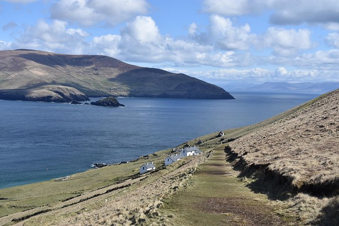 The Great Blasket Island Experience - Premium Tour - Wildlife watching from the northern shore