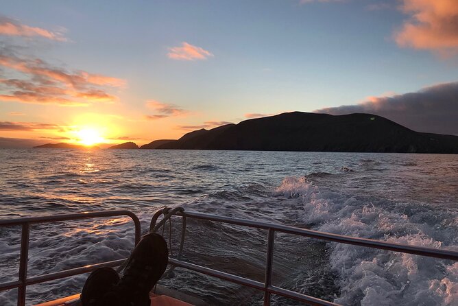 The Great Blasket Island Experience - Premium Tour - Great Blasket Island, reached by dinghy
