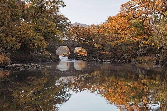 The Meeting of the Waters, Dinis Island, Lakes of Killarney - Key points to know before you book