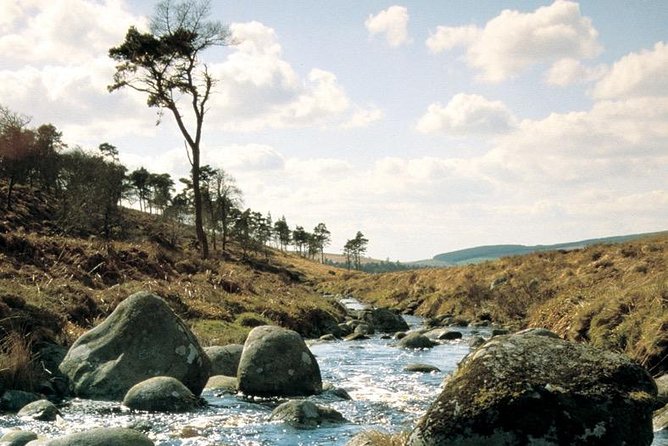 The Original Award Winning Wild Wicklow Tour incl. Glendalough - Sally Gap and Lough Tay, the Guinness Lake