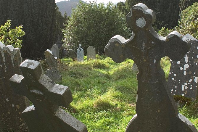 The Original Award Winning Wild Wicklow Tour incl. Glendalough - The whiskey taste on the ride home