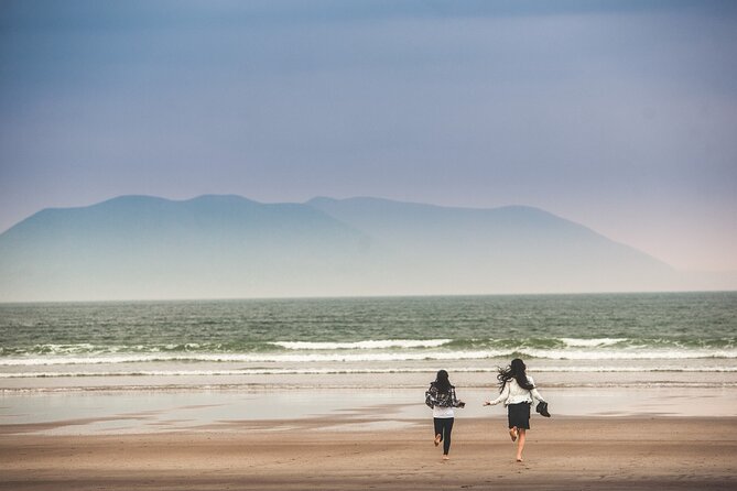 The Wild Coast of Dingle Peninsula and Slea Head from Killarney - Key points at a glance