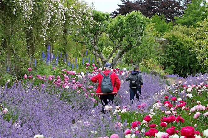 Tickets to Explore Ireland's Global Garden - Following the Woodlands and Walkways