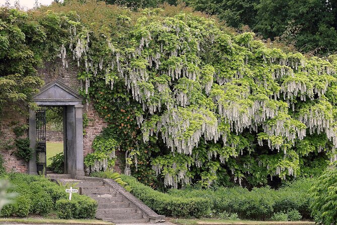 Tickets to Explore Ireland's Global Garden - The Stables Café Gives the Visit a Natural Pause