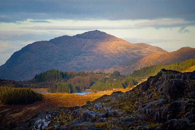 Torc mountain & waterfall hike. Killarney. Private guided group. 3½ hours. - Why Torc Mountain makes a good Killarney hike