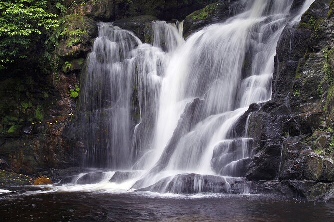 Torc mountain & waterfall hike. Killarney. Private guided group. 3½ hours. - Practical details that affect your morning