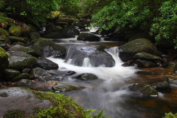 Torc mountain & waterfall hike. Killarney. Private guided group. 3½ hours. - A private 9:30 start with room to breathe