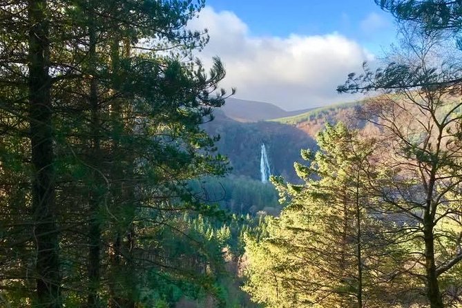 Tour Wicklow Mountains National Park in a limo with private guide - Powerscourt Gardens: a polished start to the day