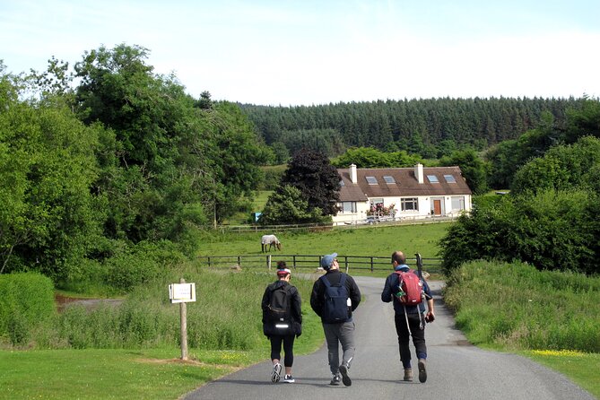 Trek the Tombs and Trails in the Dublin Mountains - Tibradden’s stone circle and burial place