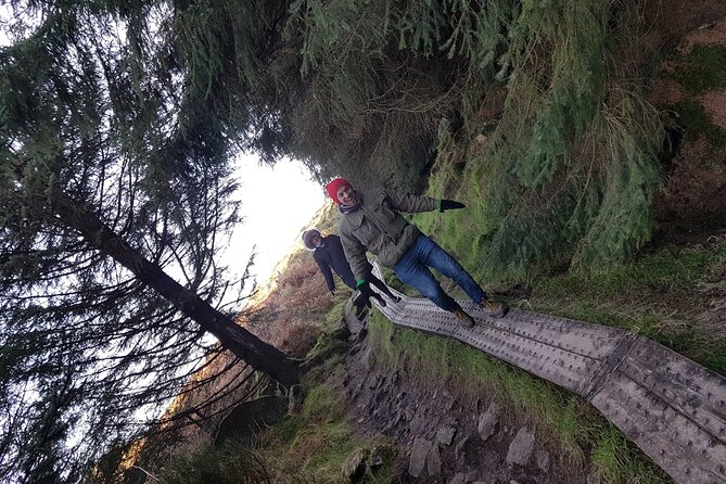 Trek the Tombs and Trails in the Dublin Mountains - Forest paths, country roads, and The Hazel House
