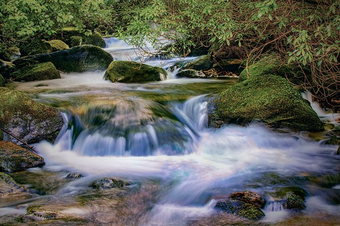 Uncover the Ring of Kerry & Kerry Cliffs -Private Luxury Day Tour - The real cost and what you get