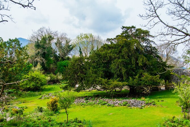 Visit Innisfallen Island - Timing, weather, and practical planning