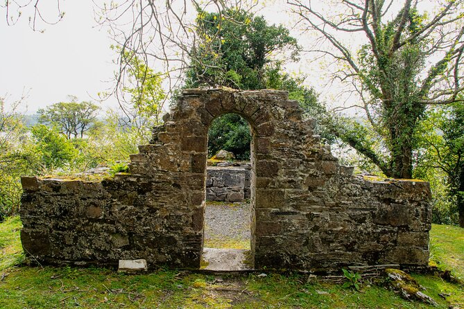 Visit Innisfallen Island - One quiet hour among ruins and trees