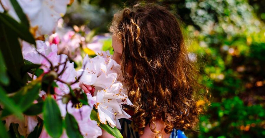 Waterford: Mount Congreve Gardens Entry Ticket - A plant collection that reaches across the world