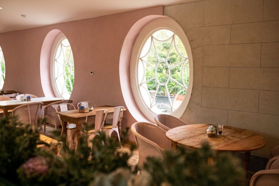 Waterford: Mount Congreve Gardens Entry Ticket - Taking a gardener-led tour or forest bathing session