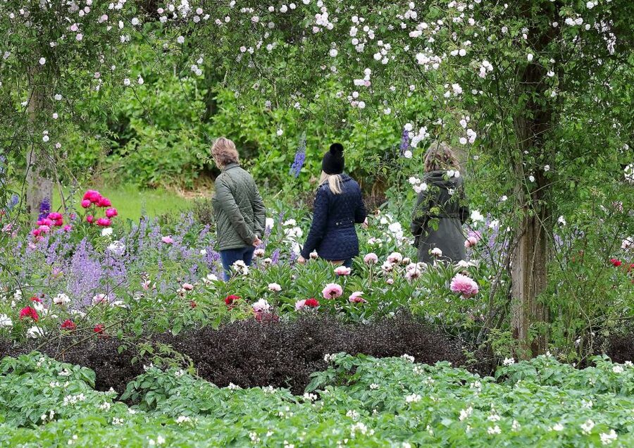 Waterford: Mount Congreve Gardens Entry Ticket - Finding nature-inspired gifts at FOXFORD