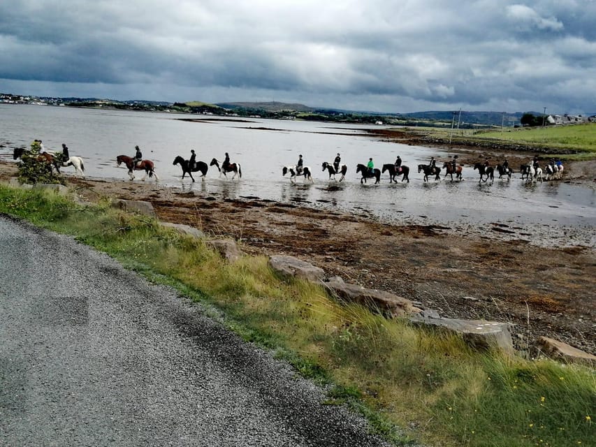 Westport: Beach and Countryside Guided Horse Ride - Dora Inch Island and a Curious Beatles Connection