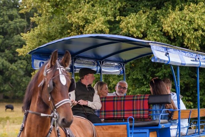 Whiskey & Wonders in Killarney - Key points to know before booking