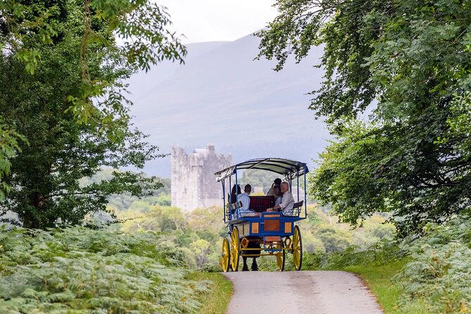 Whiskey & Wonders in Killarney - Riding from Killarney town into the national park