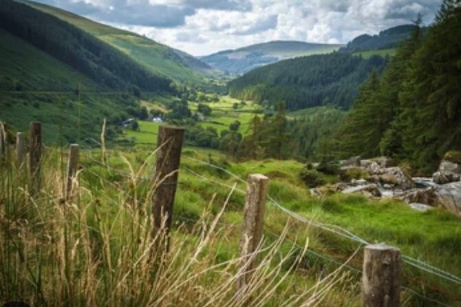 Wicklow and Glendalough Private Chauffeured Sightseeing Tour - Why this private Wicklow day works from Dublin