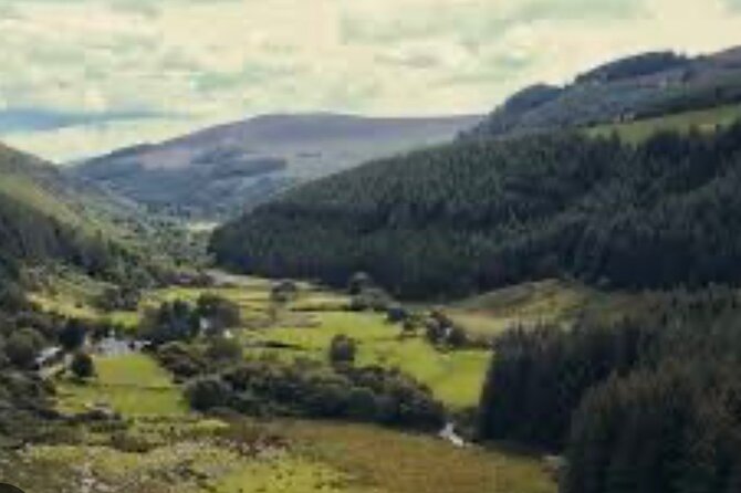 Wicklow and Glendalough Private Chauffeured Sightseeing Tour - Powerscourt Waterfall among old trees
