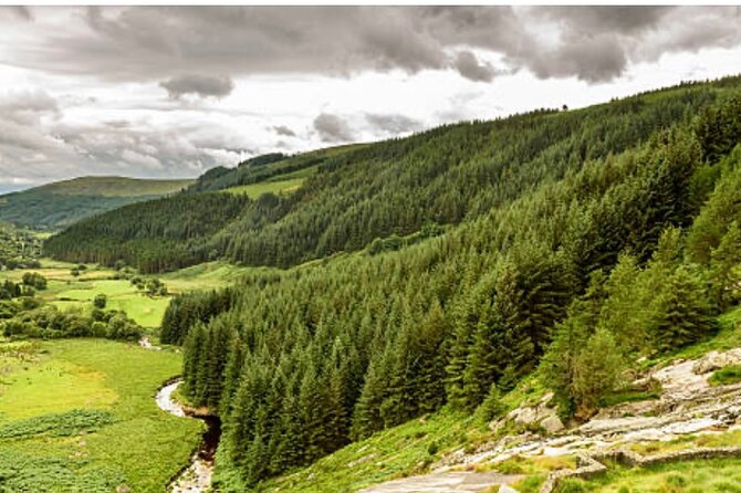 Wicklow and Glendalough Private Chauffeured Sightseeing Tour - Glendalough and the story of St. Kevin