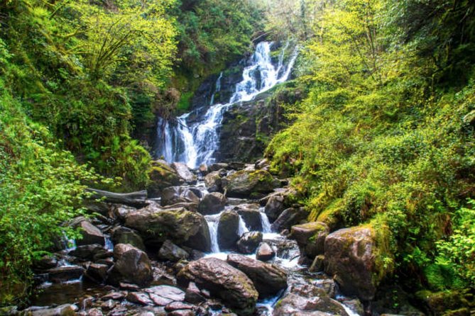 Wicklow Mountains & Glendalough Luxury Private Day Tour - Glendalough and the Valley of Two Lakes