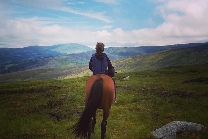 Wicklow Mountains Horse Trekking - What makes this Wicklow horse trek special