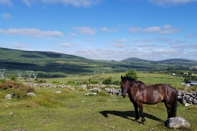 Wicklow Mountains Horse Trekking - Starting at Hollywood Horse and Pony Trekking
