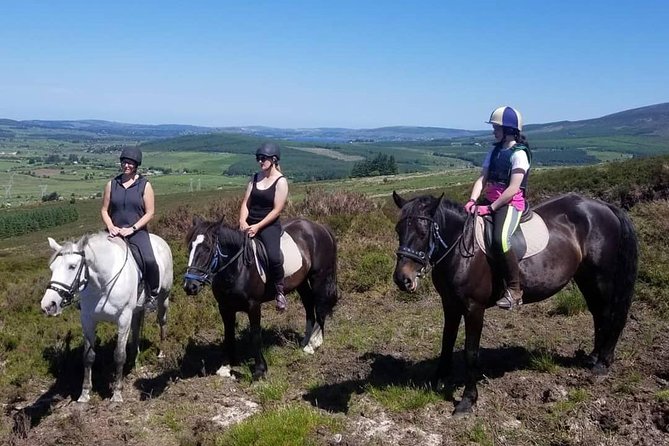 Wicklow Mountains Horse Trekking - Riding through the Kings River valley