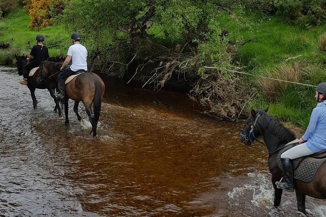 Wicklow Mountains Horse Trekking - How the ride works for mixed abilities