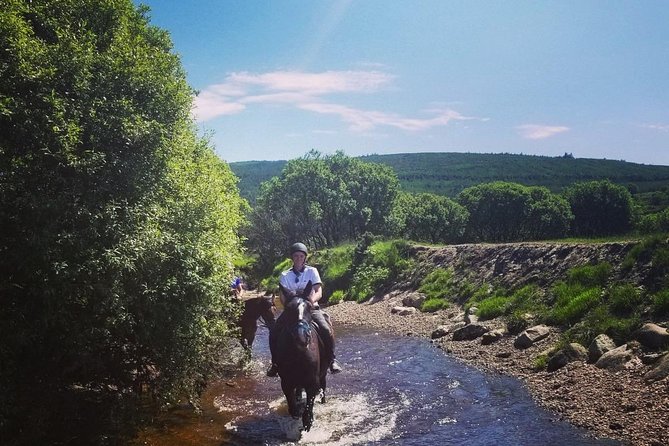 Wicklow Mountains Horse Trekking - What you are paying for at $90.70