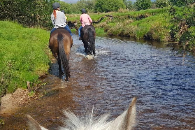 Wicklow Mountains Horse Trekking - Weather, clothing, and physical effort