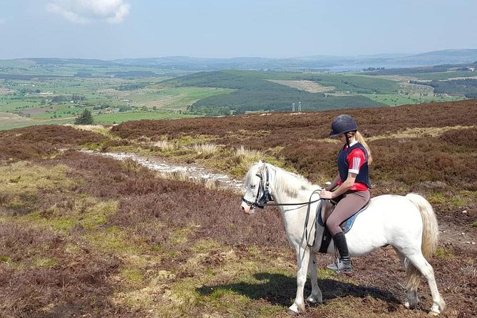 Wicklow Mountains Horse Trekking - The people make the outing feel personal
