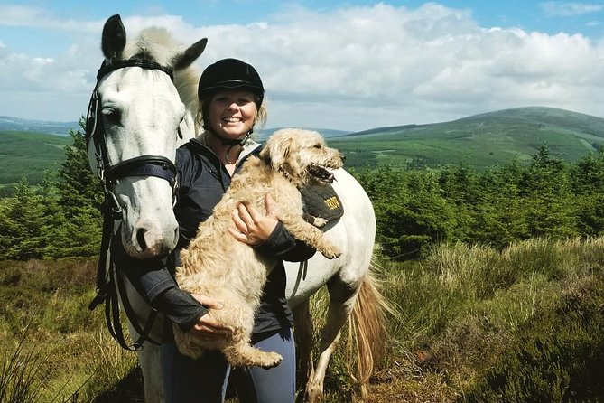 Wicklow Mountains Horse Trekking - The first lesson helps beginners find their confidence