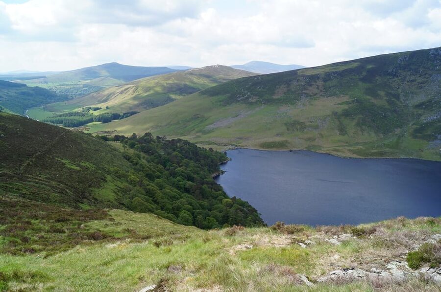 Wicklow Mountains Private Day Tour including Glendalough - A pub lunch with beef and Guinness stew
